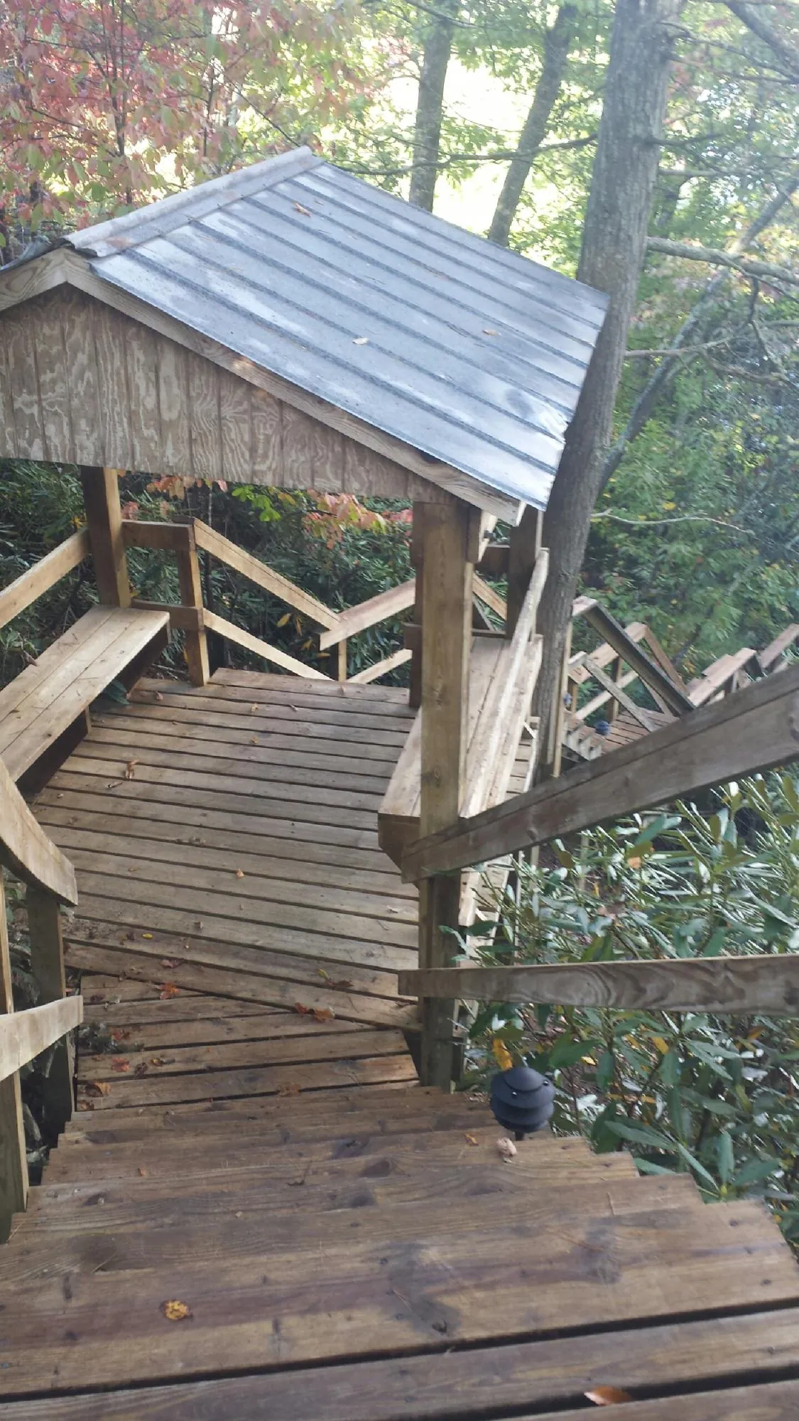 Metal roofed shelter over wooden steps on a wooded walkway — Skylight Repair & Installation work by our crew in Lovelady